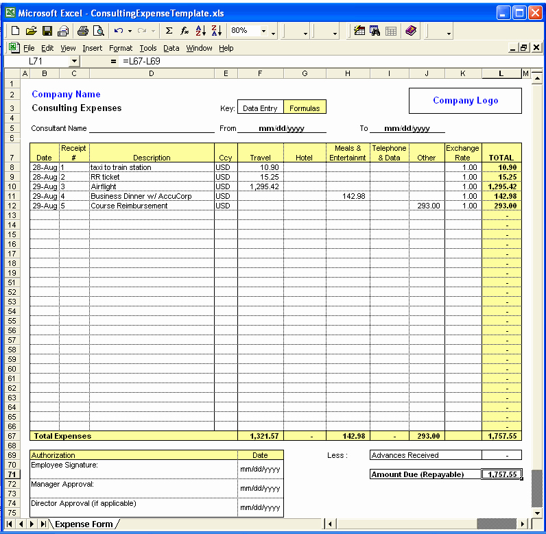 Expenses Sheet In Excel format Unique Excel Template Expenses