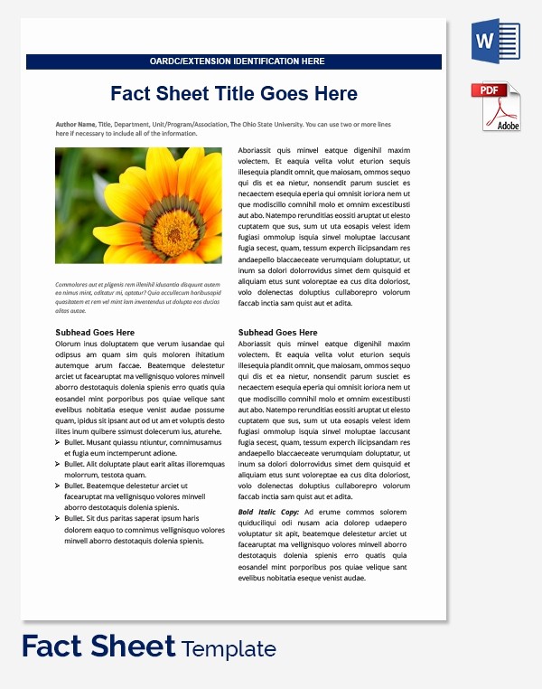 Fact Sheet Templates Microsoft Word Inspirational Fact Sheet Template 32 Free Word Pdf Documents