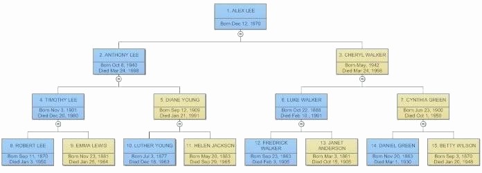 Family Tree Microsoft Word Template Awesome Blank Family Tree Diagram Free Excel Download Chart