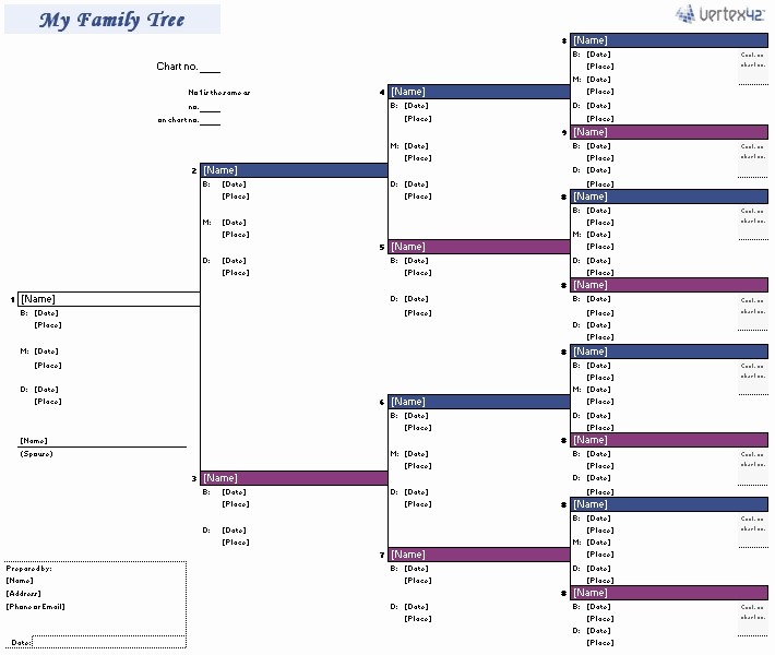 Family Tree Microsoft Word Template Beautiful Family Tree Chart Template Beepmunk