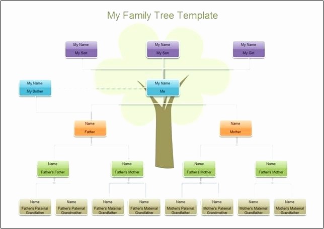 Family Tree Microsoft Word Template Best Of Family Tree Diagram Template Microsoft Word – Rightarrow