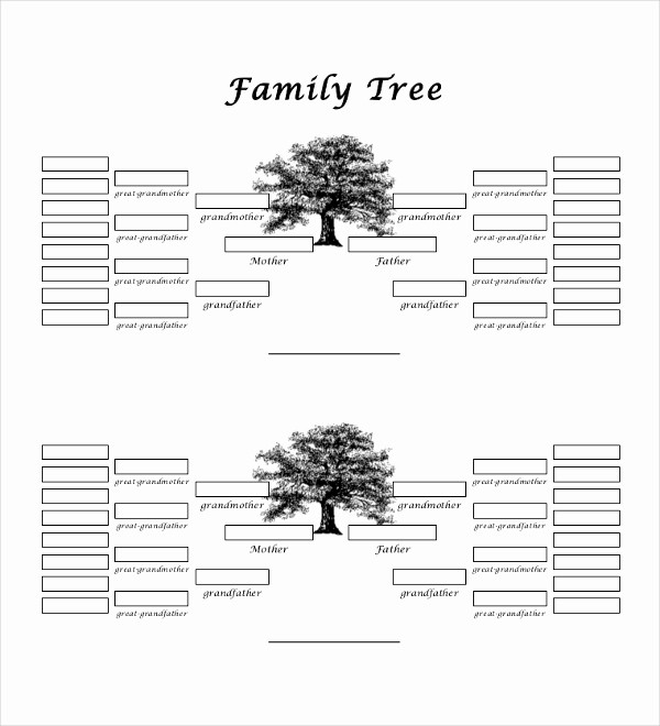 Family Tree Template 5 Generations Beautiful 51 Family Tree Templates Free Sample Example format