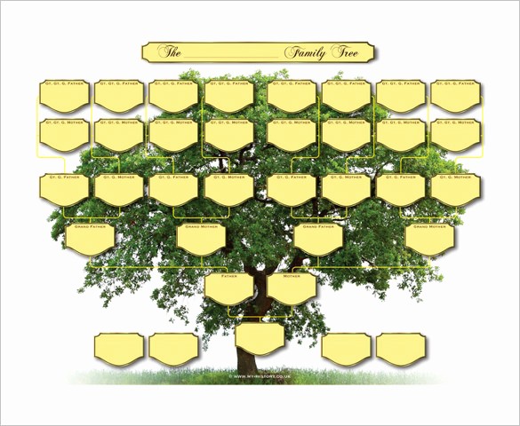 Family Tree Template 5 Generations Lovely Five Generation Family Tree Template – 11 Free Word