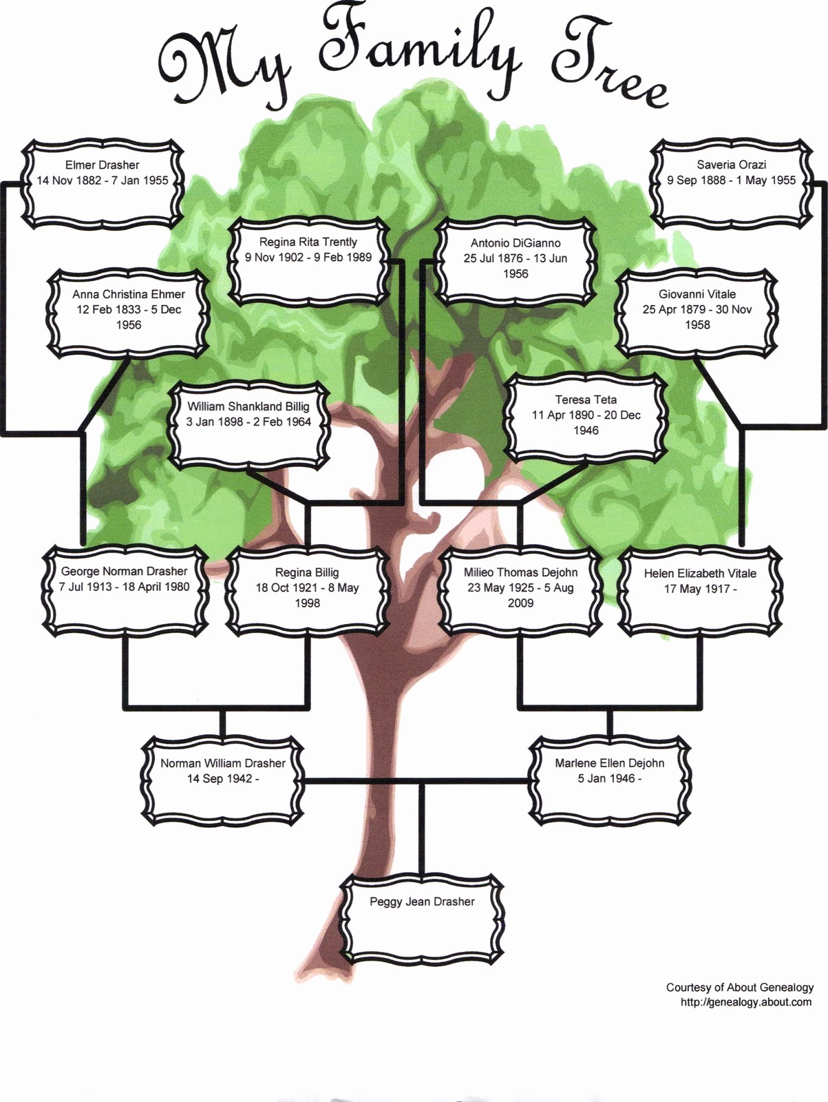 Family Tree Template 5 Generations Luxury Family Tree Template Family Tree Template Three Generation