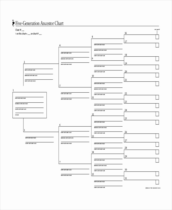 Family Tree Template 5 Generations Unique Family Tree Template 8 Free Word Pdf Document