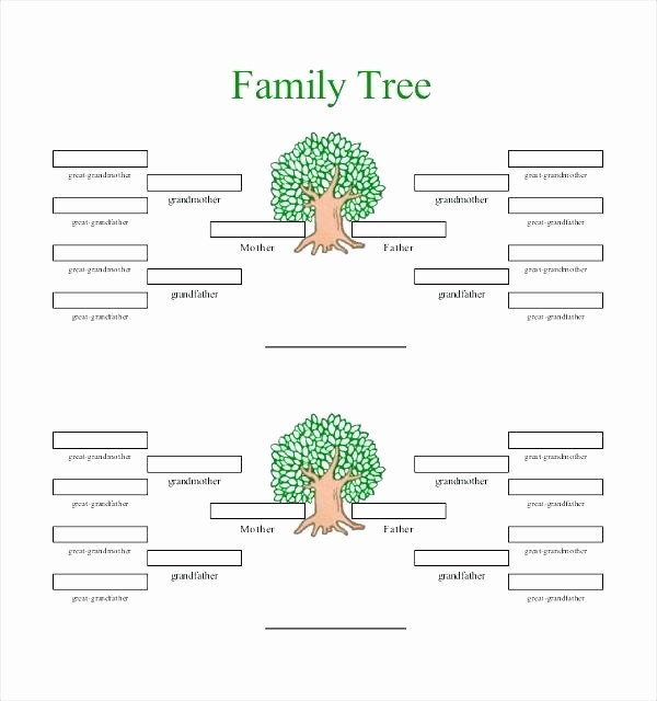 Family Tree Template for Mac Best Of Family Tree Template for Mac Generation Pedigree Chart