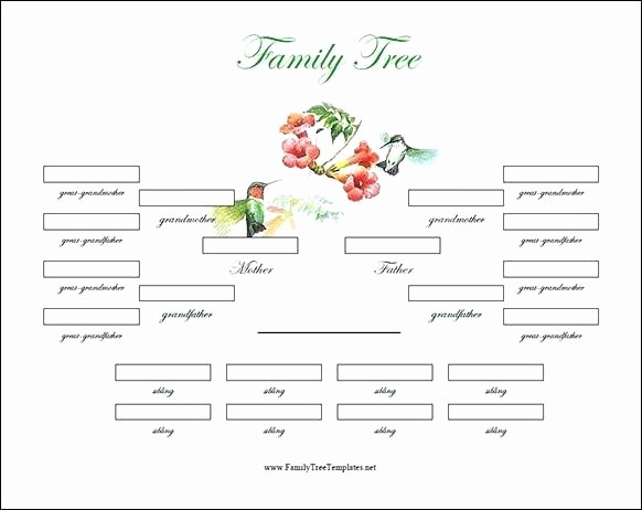 Family Tree Template for Mac Lovely Free Family Template – Template Gbooks