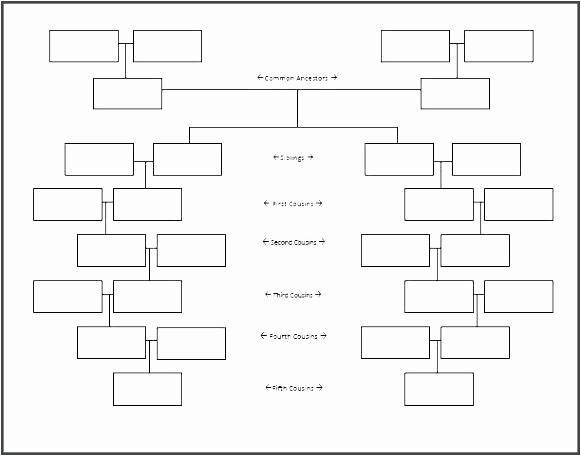 Family Tree Template for Mac New top Unique Graph Example with Key Free Printable Template
