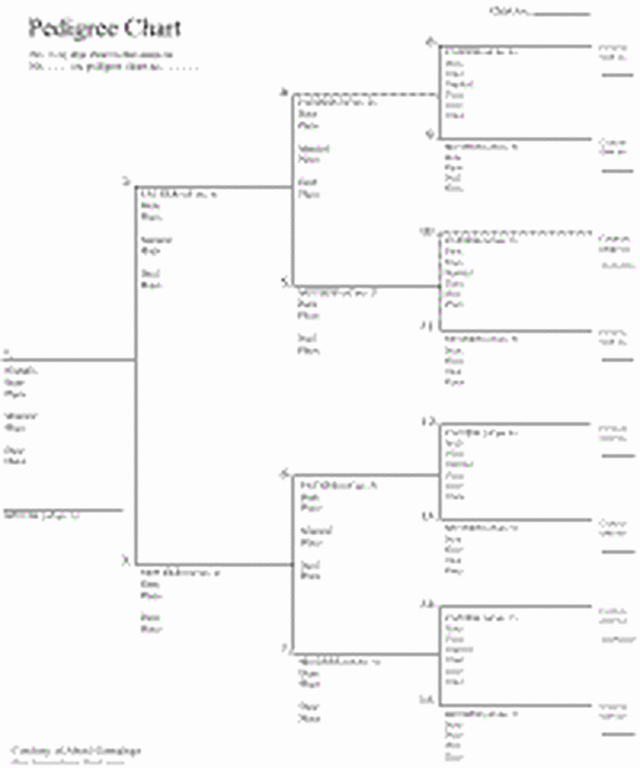 Fillable 6 Generation Family Tree Awesome Free Family Tree Charts Free Interactive Pedigree Chart