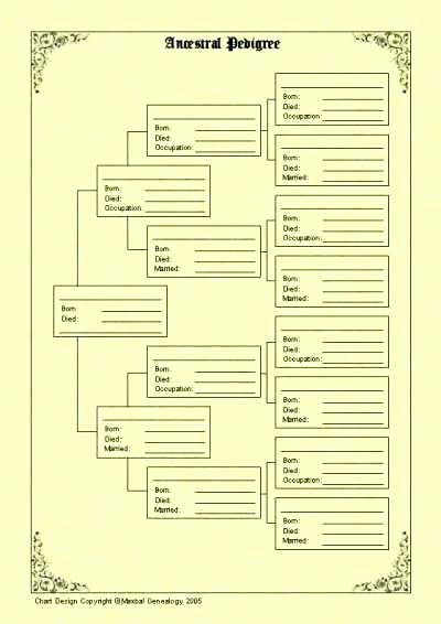 Fillable 6 Generation Family Tree Awesome How Editable 6 Generation Pedigree Chart – Applynowfo