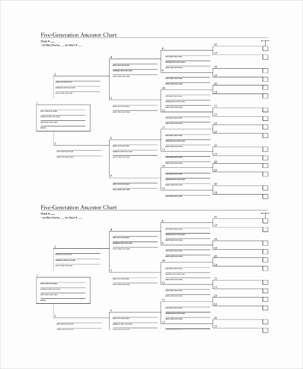 Fillable 6 Generation Family Tree Best Of 28 Of 15 Generation Family Tree Template