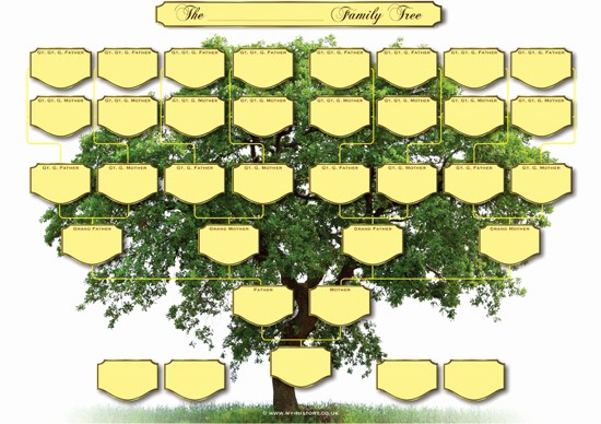 Fillable 6 Generation Family Tree Best Of 5 Generation Family Tree Chart