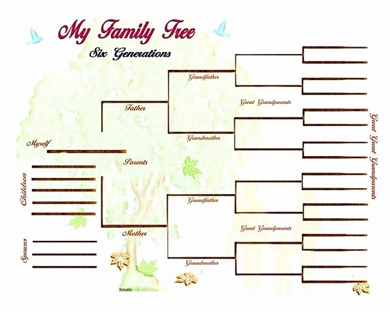 Fillable 6 Generation Family Tree Best Of Six 6 Generation Family Tree Chart Blank Digital 8 X