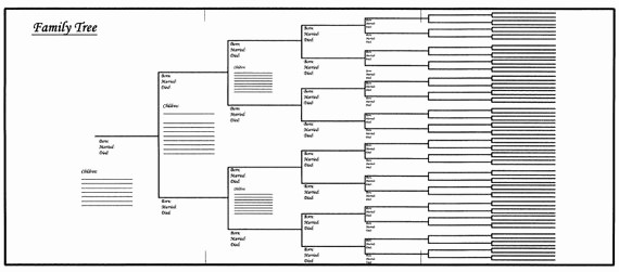 Fillable 6 Generation Family Tree Elegant Family Tree Chart Bracket Style 8 1 2 X 11 Fold
