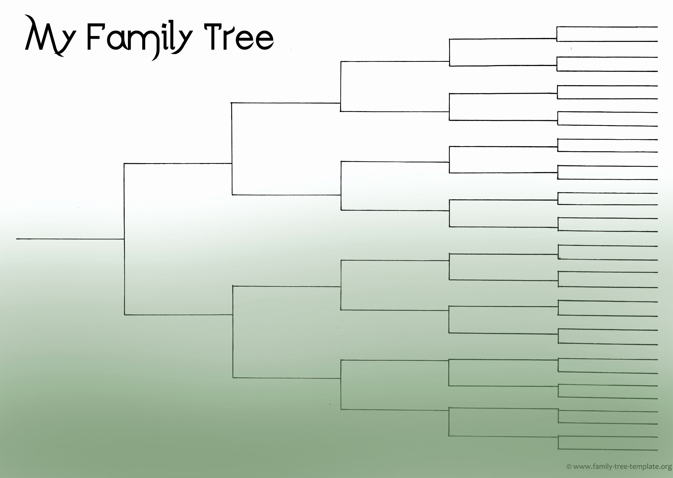 6 Generation Family Tree Template