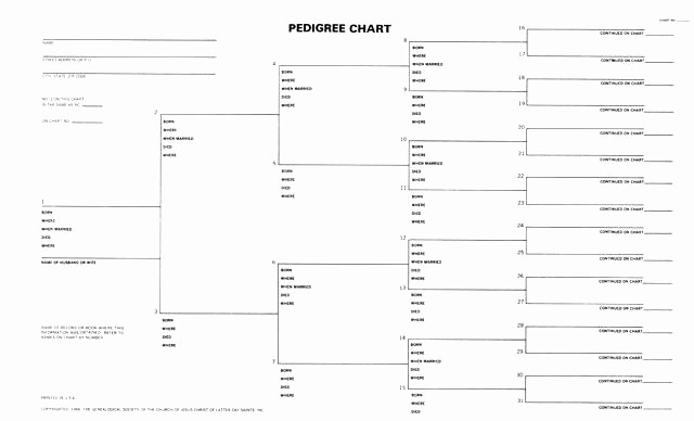 Fillable 6 Generation Family Tree Lovely 4 Generation Pedigree Chart 5 Free Dog – Template Gbooks
