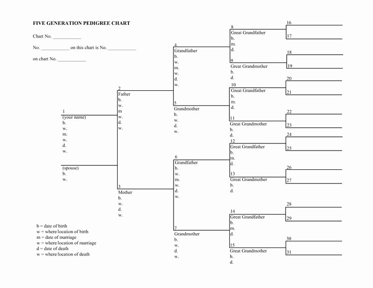 5 Generation Family Tree Chart