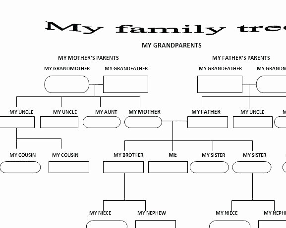 Fillable 6 Generation Family Tree Unique How Editable 6 Generation Pedigree Chart – Applynowfo