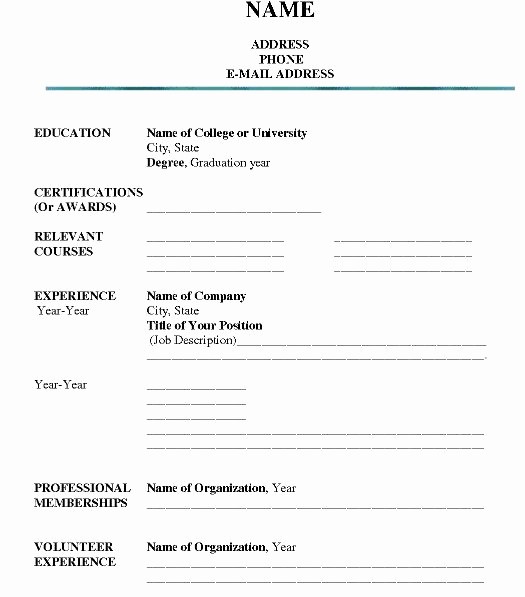 Form Of Resume for Job Unique Printable Job Resume form O
