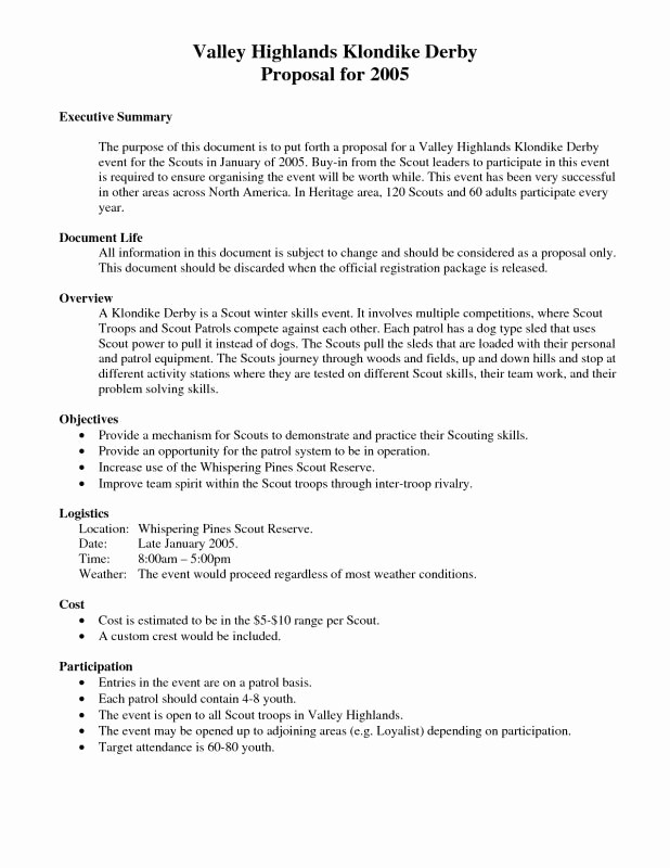 Format for An Executive Summary Awesome Executive Summary Template for Proposal
