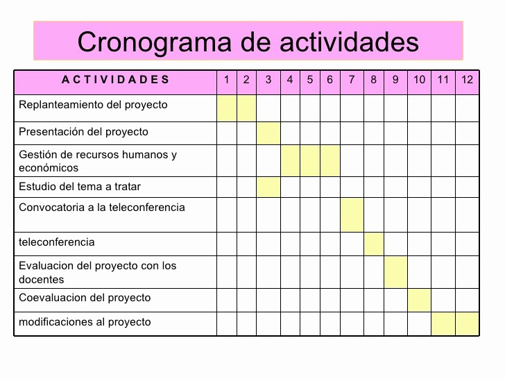 Cronograma De Actividades En Excel 5870