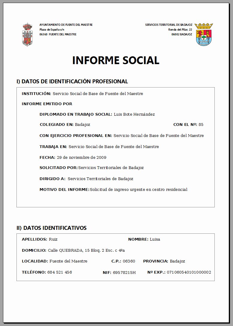 Formato De Un Informe Simple Luxury software Para Servicios sociales Modelo Impreso