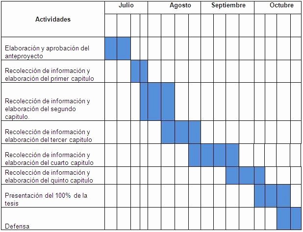 Formato Excel Cronograma De Actividades Best Of Cronogramas De Actividades En Excel