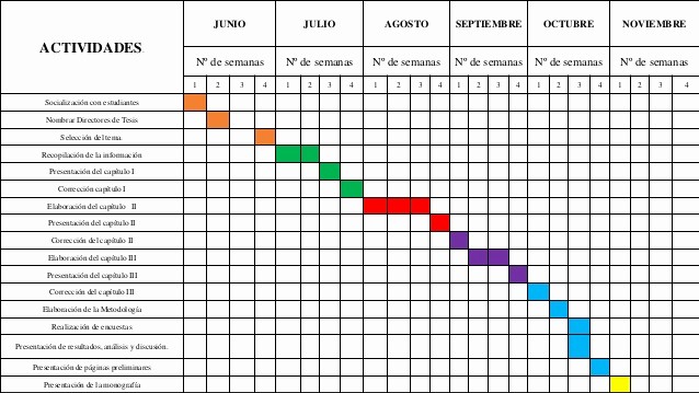 Formato Excel Cronograma De Actividades Unique Cronograma