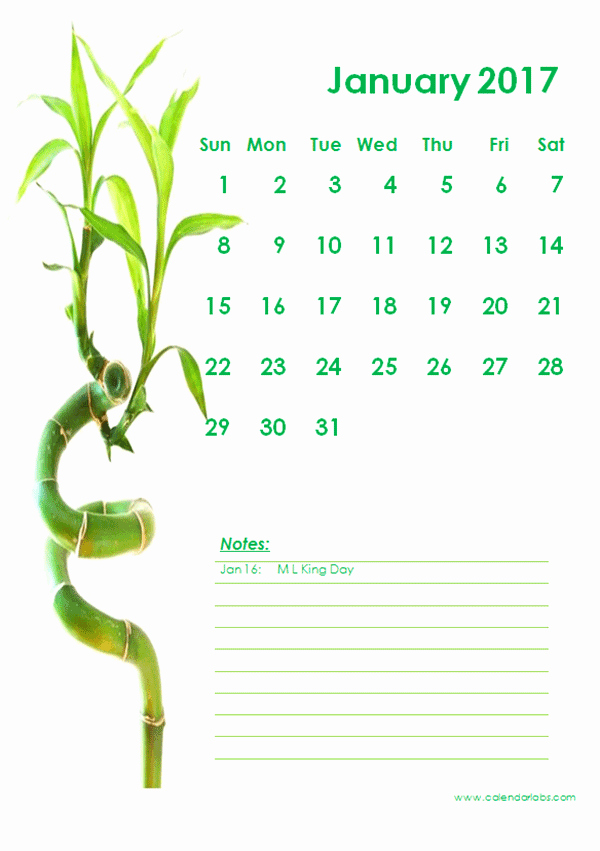 Free 12 Month Calendar 2017 Unique 2017 Monthly Calendar Template 11 Free Printable Templates
