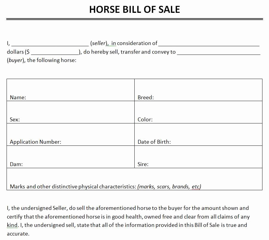 Free Bill Of Sale Templates Elegant Free Horse Bill Sale Template