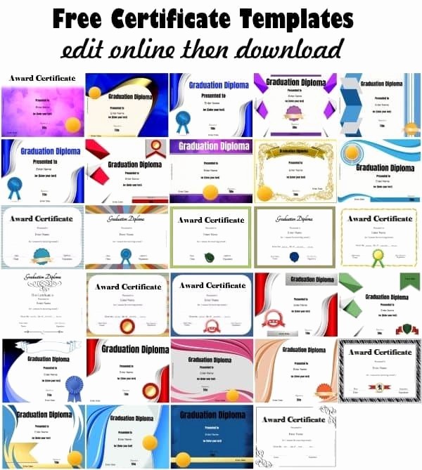 Free Download Award Certificate Templates Best Of Free Certificate Templates