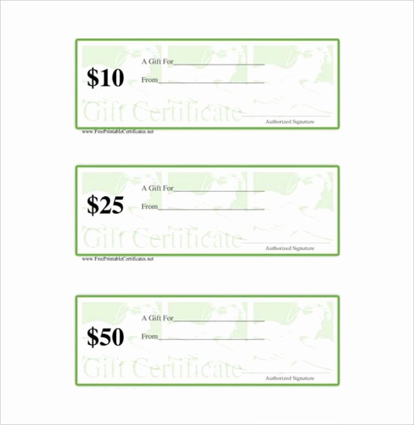 Free Gift Card Template Word Best Of 3 Massage Gift Certificate Template Doc Pdf