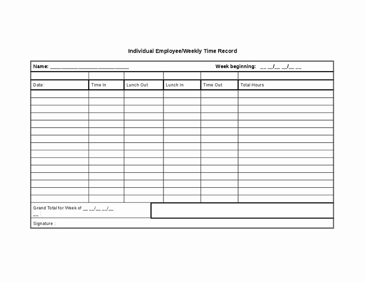 Free Individual Payroll Record form Lovely 15 Individual Payroll Record forms