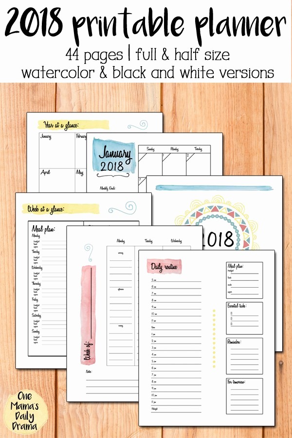 Free Printable Daily Calendar 2018 Unique 2018 Printable Planner with Multiple Options