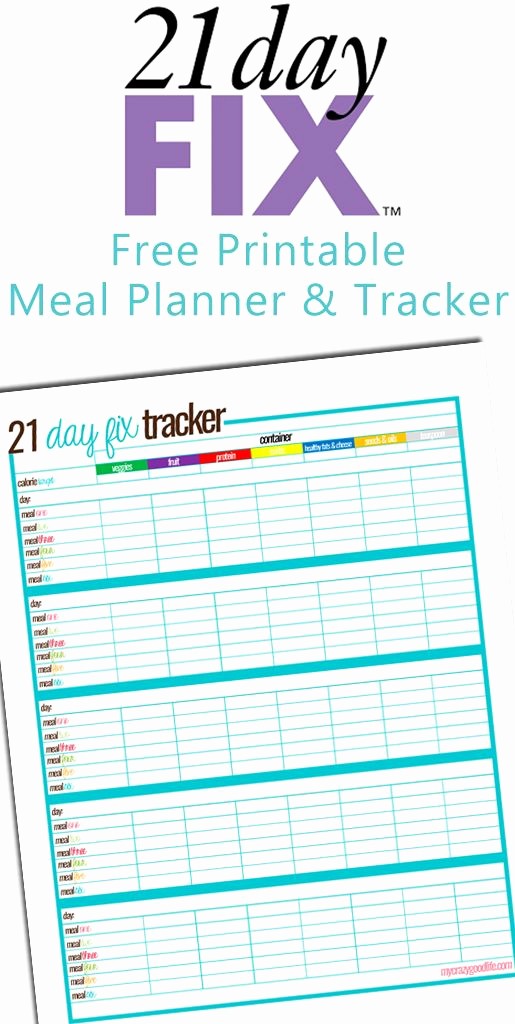 Free Printable Weight Loss Tracker Elegant 162 Best Images About Free organization Printables On