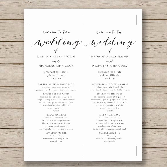 Free Program Templates for Word Inspirational 67 Wedding Program Template Free Word Pdf Psd