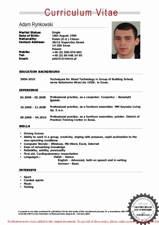 Free Resume Templates In English Unique English Resume Template