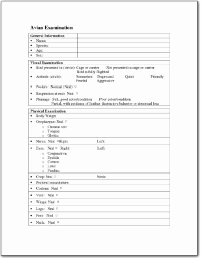 General Physical form for Employment New General Physical Exam form Bing Images