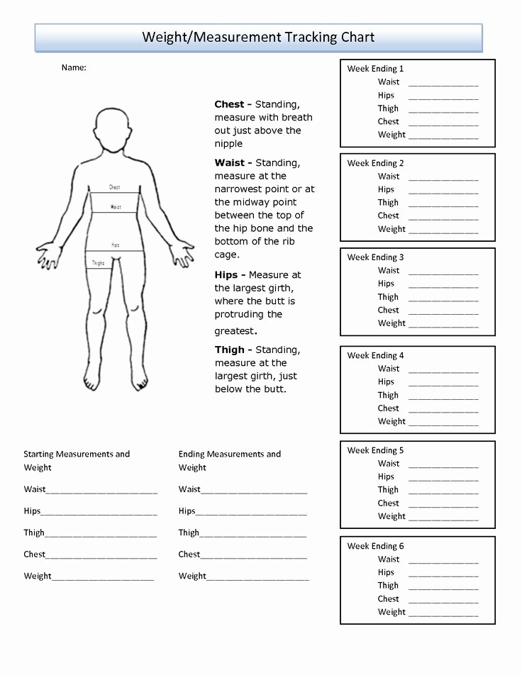 Google Sheets Weight Loss Template Fresh Free Printable Body Measurement Chart