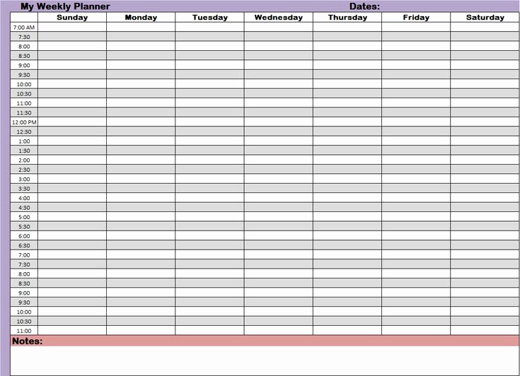 Hourly Sign Up Sheet Template New Weekly Hourly Schedule