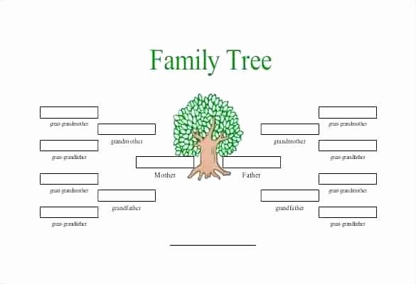 How to Family Tree Chart Beautiful Blank Family Tree Chart Template Charts