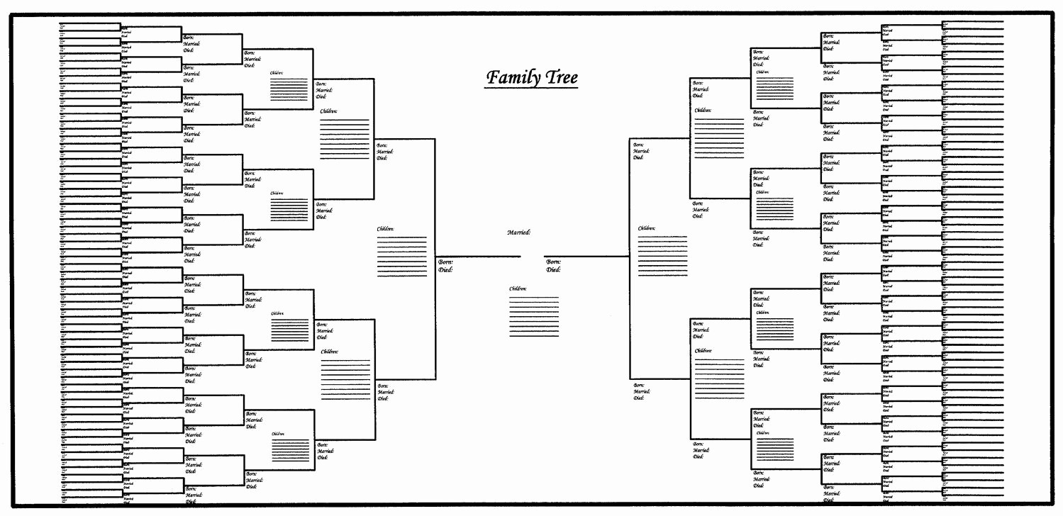 How to Family Tree Chart Beautiful Free Printable Family Tree Template Blank Google