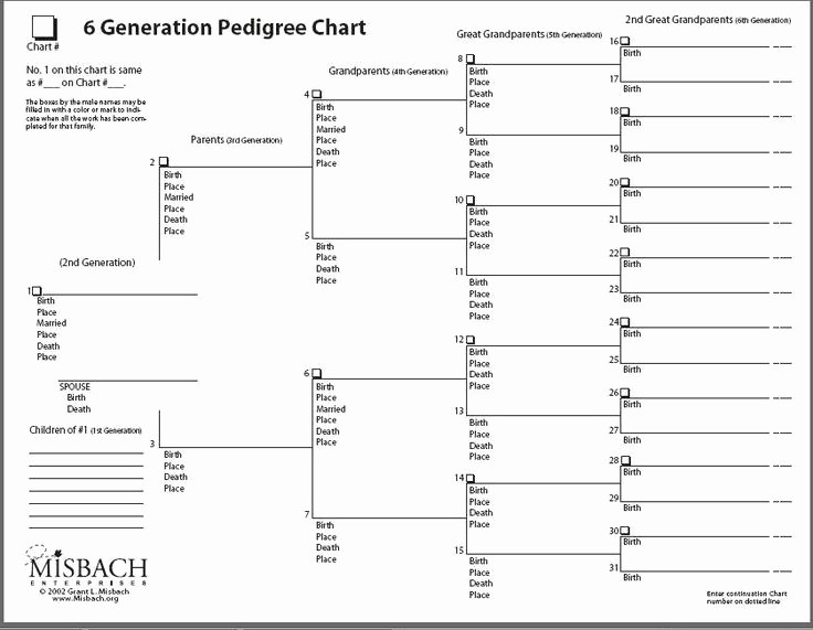 How to Family Tree Chart Best Of 25 Best Ideas About Genealogy forms On Pinterest