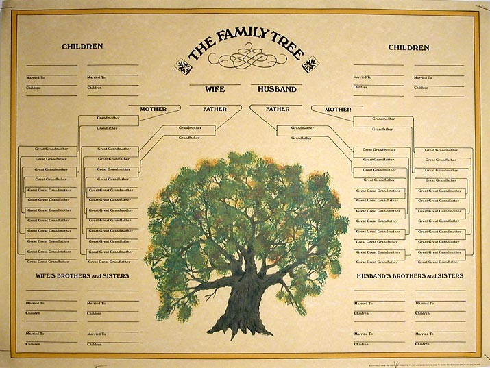 How to Family Tree Chart Best Of Family Tree Template Blank Family Tree