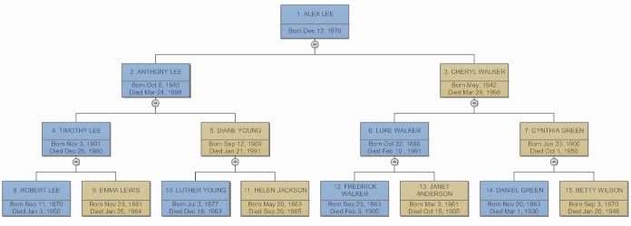 How to Family Tree Chart New Family Tree Everything You Need to Know to Make Family Trees