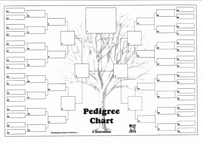 How to Family Tree Chart New Free Six Generation Pedigree Chart