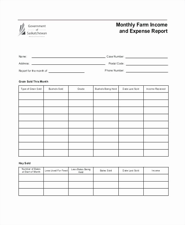 Income and Expense Report Template Beautiful Monthly Expense Tracker Daily Fice Excel Sheet Simple