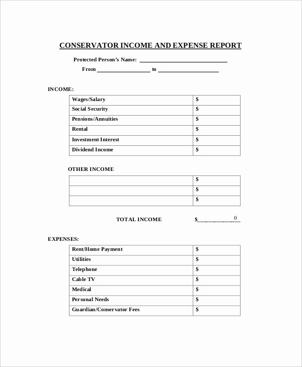 Income and Expense Report Template Best Of Expense Report 11 Free Word Excel Pdf Documents