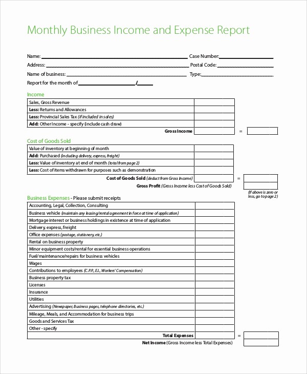 Income and Expense Report Template Fresh 8 Expense Reports Samples Templates Examples