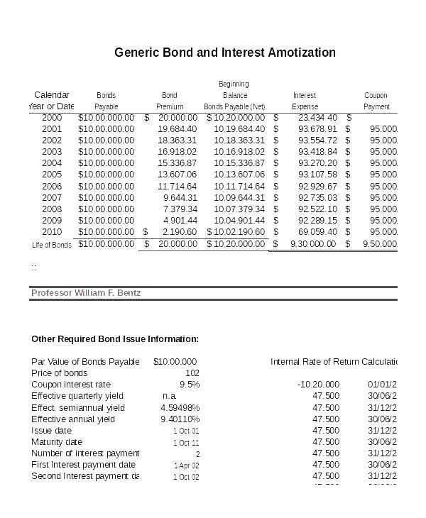 interest only amortization schedule excel